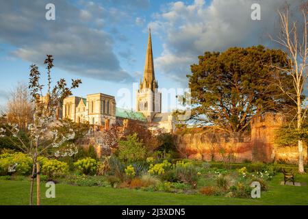 Cathédrale de Chichester vue depuis les jardins du Palais Bishop au coucher du soleil au début du printemps. West Sussex, Angleterre. Banque D'Images