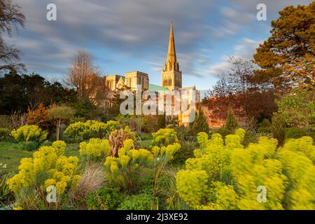 Soirée de printemps au jardin du palais de l'évêque, cathédrale de Chichester au loin. Chichester, West Sussex. Banque D'Images