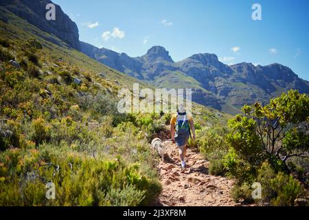 Les matinées étaient faites pour des randonnées. Vue arrière d'un jeune homme méconnu qui prend son chien lors d'une randonnée matinale dans les montagnes. Banque D'Images
