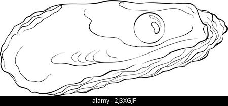 Carapace d'huîtres avec perles Illustration de Vecteur