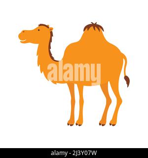 Dessin animé à dos de chameau isolé sur fond blanc. Eps10 Illustration de Vecteur