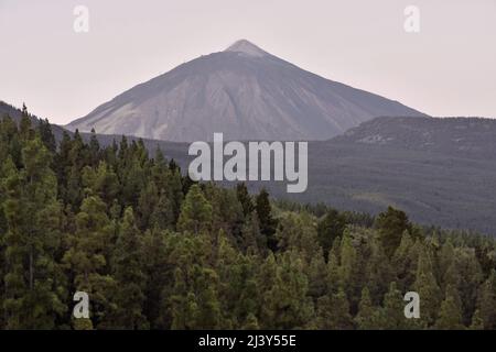 Mont Teide (Pico del Teide) volcan de 3718 m de haut et pins du parc naturel de Corona Forestal, la Orotava Tenerife Iles Canaries Espagne. Banque D'Images