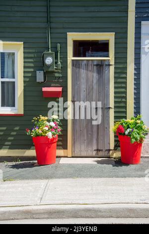 L'extérieur d'un mur en bois vert avec une seule porte-tempête en bois. Il y a deux pots de fleurs rouges avec des fleurs de printemps colorées en eux. Banque D'Images