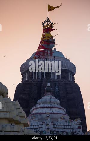 Dévotés à l'entrée du dôme principal du temple de Jagannath, dédié à Jagannath ou Seigneur Vishnu dans la ville côtière de Puri, Odisha, Inde. Banque D'Images