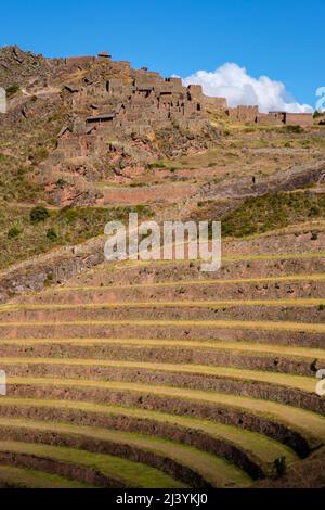 Terrasse agricole inca, terrasses agricoles inca, Pisac Q'Allaqasa (Citadelle) secteur des ruines de la forteresse inca de Pisac, Pérou Vallée sacrée. Banque D'Images