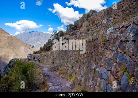 Terrasses agricoles, sentier de randonnée entre le secteur Pisac Q'Allaqasa (Citadelle) et le secteur Intihuatana, ruines anciennes de la forteresse Inca de Pisac, Pérou Vallée sacrée Banque D'Images