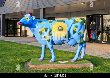 Une vache normande (symbole de Normandie) magnifiquement décorée de fleurs jaunes au Mont-Saint-Michel, Normandie, France Banque D'Images