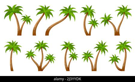 Ensemble plat vert d'été de tronc de plante tropique de palmier. Tronc tropical élément carte postale voyage vacances été plante verte. Collection de forêt inoccupée île verdure botanique isolée sur blanc Illustration de Vecteur