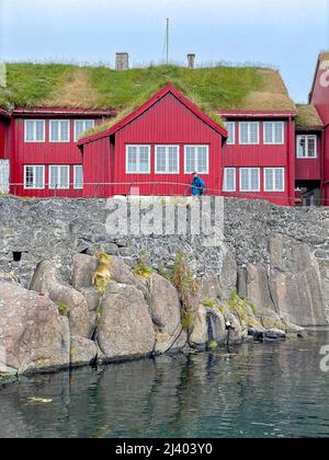 Vue sur la belle ville de Torshavan dans les îles Féroé et maisons colorées, et restaurants avec des couleurs vives et de l'herbe sur les toits à proximité Banque D'Images