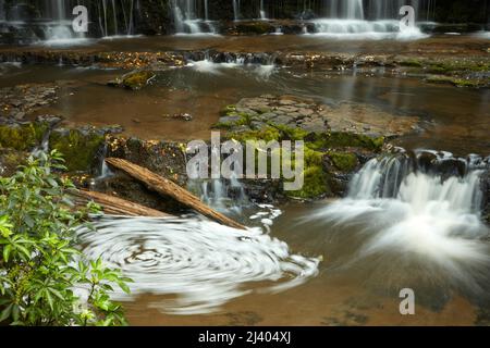 Purakaunui Falls, South, Catlins Otago, île du Sud, Nouvelle-Zélande Banque D'Images