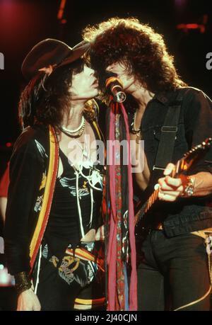 Aerosmith en concert en 1984 Credit: Jeffrey Mayer / Rock Negative / MediaPunch Steven Tyler Banque D'Images
