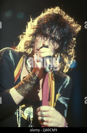 Aerosmith en concert en 1984 Credit: Jeffrey Mayer / Rock Negative / MediaPunch Steven Tyler Banque D'Images
