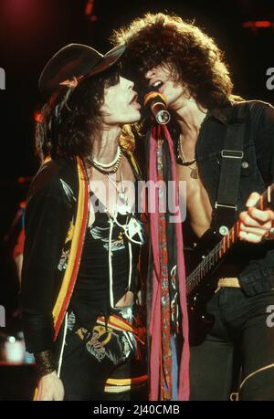Aerosmith en concert en 1984 Credit: Jeffrey Mayer / Rock Negative / MediaPunch Steven Tyler Banque D'Images