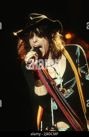 Aerosmith en concert en 1984 Credit: Jeffrey Mayer / Rock Negative / MediaPunch Steven Tyler Banque D'Images