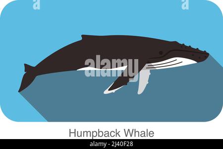 Les baleines à bosse nager dans la mer, l'icône des animaux télévision Illustration de Vecteur