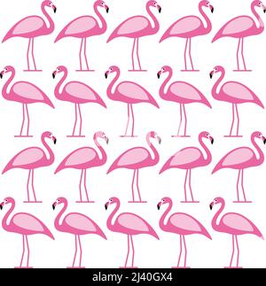 Flamingo magnifique standing in a row, série d'oiseaux mêmes images Illustration de Vecteur