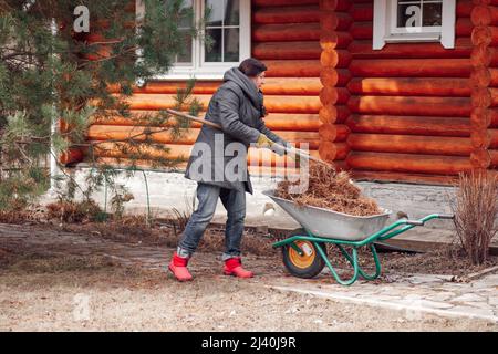 Femme travaillant dans une veste de campagne, recueillant de vieilles aiguilles de pin sec dans un chariot de brouette dans le jardin. Plantes de soin et d'agriculture Banque D'Images