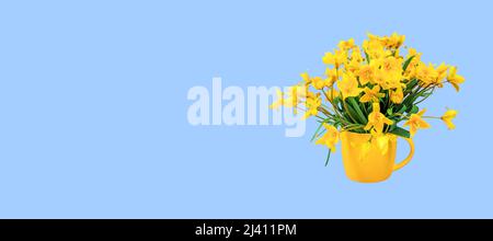 Bannière. Tulipes de forêt jaune dans une tasse jaune sur fond bleu. Place pour une inscription. Banque D'Images