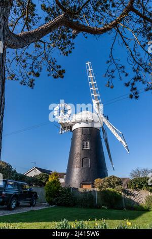 Stow Windmill lors d'une journée de printemps ensoleillée, Mundesley, North Walsham, Norfolk, East Anglia, Angleterre, Royaume-Uni. Banque D'Images