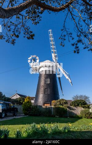 Stow Windmill lors d'une journée de printemps ensoleillée, Mundesley, North Walsham, Norfolk, East Anglia, Angleterre, Royaume-Uni. Banque D'Images