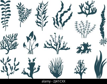 Silhouettes de plantes de mer. Aquarium d'algues, coraux d'algues de récif. Algues ou mauvaises herbes marines. Éléments décoratifs nature océan, ensemble de vecteurs isolés Illustration de Vecteur