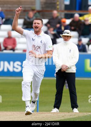 CHELMSFORD ANGLETERRE - AVRIL 08 : Jackson Bird of Kent CCC célèbre le cricket de Tom Westley d'Essex et capturé par Ollie Robinson de Kent CCC duri Banque D'Images