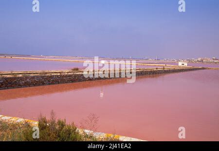 Étang. Salt Works, San Pedro del Pinatar, province de Murcie, Espagne. Banque D'Images