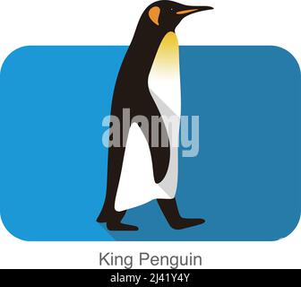 King Penguin walking, Penguin, série de semences vector illustration Illustration de Vecteur