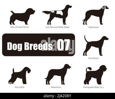 Jeu de chiens de races, noir et blanc, side view, vector illustration Illustration de Vecteur