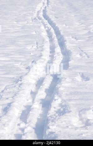 Les pistes de ski dans la neige Banque D'Images