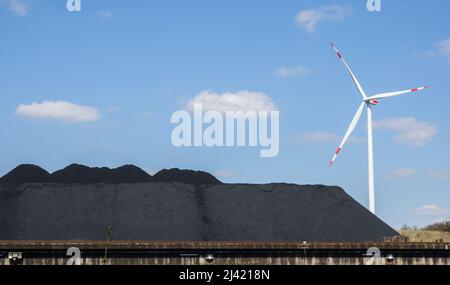 Hohenhameln, Allemagne. 11th avril 2022. Le charbon dur se trouve dans un fil de charbon sur le canal Mittelland, à proximité des éoliennes. À la suite de la guerre d'agression russe contre l'Ukraine, l'Agence fédérale de l'environnement (UBA) considère que le remplacement du gaz naturel russe par du charbon est inévitable, mais met en garde contre la remise en question fondamentale des objectifs climatiques. Crédit : MIA Bucher/dpa/Alay Live News Banque D'Images