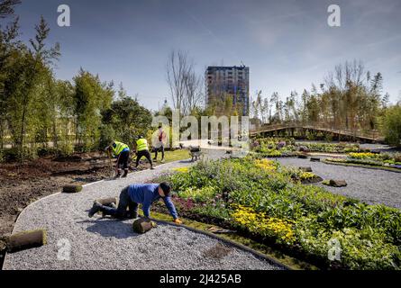 2022-04-11 12:21:48 ALMERE - travail préparatoire final sur le site Floriade. L'exposition horticole mondiale Floriade Expo 2022 sera ouverte par le roi Willem-Alexander le 13 avril. ANP ROBIN VAN LONKHUIJSEN pays-bas sortie - belgique sortie Banque D'Images