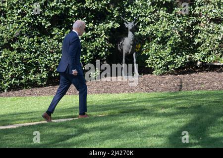 Washington, États-Unis d'Amérique. 11th avril 2022. Le président des États-Unis Joe Biden revient à la Maison Blanche à Washington, DC après un voyage d'un week-end à Wilmington, EN, DU 11 avril 2022. Crédit: Chris Kleponis/Pool/Sipa USA crédit: SIPA USA/Alay Live News Banque D'Images