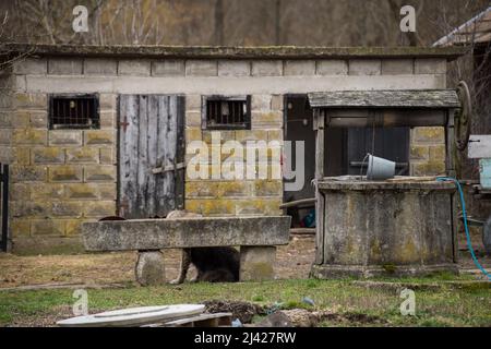 Un vieux puits à la ferme. Bien pour dessiner l'eau situé dans la campagne. Banque D'Images