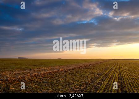 RIP Mountain, célèbre colline en République tchèque. Sur la route de la poussière entre les champs à un incroyable lever de soleil dans les Highlands de Bohême centrale, République tchèque. Banque D'Images
