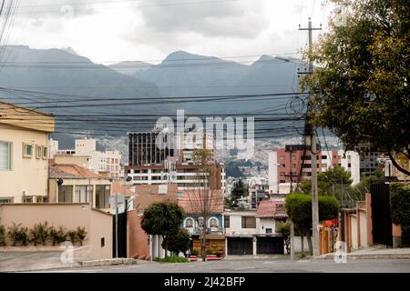 La région de la Floresta à Quito, qui a acquis une réputation d'être l'un des quartiers les plus envoûtant de toute ville d'Amérique du Sud. Banque D'Images