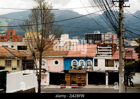 La région de la Floresta à Quito, qui a acquis une réputation d'être l'un des quartiers les plus envoûtant de toute ville d'Amérique du Sud. Banque D'Images