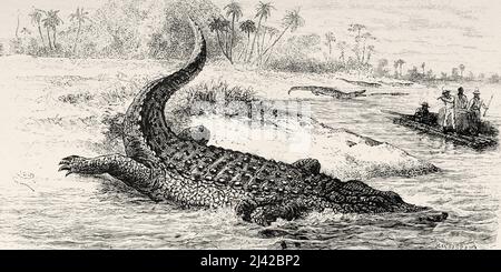 Grand alligator, fleuve Guaviare, Colombie. Amérique du Sud. Voyage d'exploration à travers la Nouvelle-Grenade et le Venezuela par Jules Crevaux 1880-1881. Le Tour du monde 1882 Banque D'Images