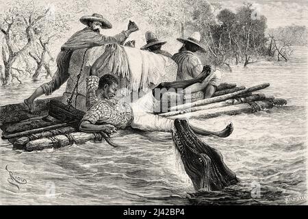 Attaque d'un gros alligator, fleuve Guaviare, Colombie. Amérique du Sud. Voyage d'exploration à travers la Nouvelle-Grenade et le Venezuela par Jules Crevaux 1880-1881. Le Tour du monde 1882 Banque D'Images