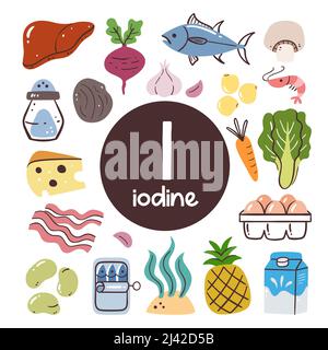 Produits alimentaires à forte teneur en iode. Ingrédients de cuisson. Fruits, légumes, légumineuses, produits laitiers, viande, fruits de mer. Illustration de Vecteur