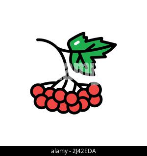 Icône de couleur rose de guelder de baies. Elément vectoriel isolé. Pictogramme de contour pour la page Web, l'application mobile, la promotion Illustration de Vecteur