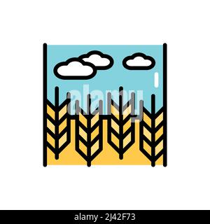 Icône de couleur champ de blé et ligne bleue du ciel. Elément vectoriel isolé. Pictogramme de contour pour la page Web, l'application mobile, la promotion Illustration de Vecteur
