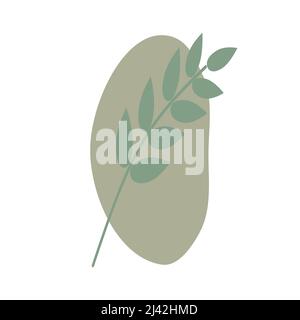 Motif vectoriel de modèle de logo olive. Illustration dessinée à la main dans le vecteur. Arrangements d'olives avec des branches d'olives et des fruits pour la cuisine italienne ou Illustration de Vecteur