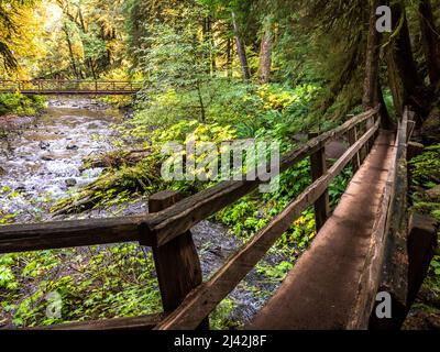 Ponts en bois faits à la main dans le parc national olympique, États-Unis Banque D'Images