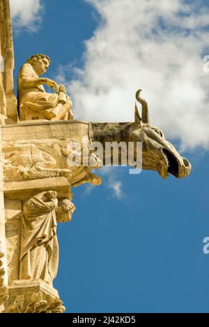 Reims, France, monuments religieux, Cathédrale notre-Dame, Architecture de détail, Gargoyle Sculptures, tête de Bull Banque D'Images