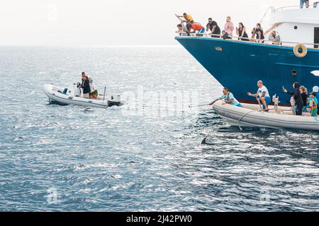 09 janvier 2022, Hurghada, Egypte: Les touristes sur les bateaux à moteur et les bateaux de croisière chassent les dauphins ou les baleines pour prendre des photos Banque D'Images