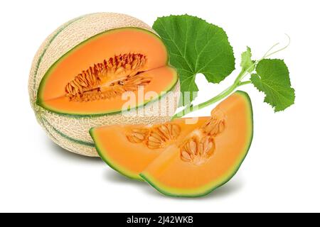 Melon de cantaloup isolé sur fond blanc avec passe-cheveux et profondeur de champ totale, Banque D'Images