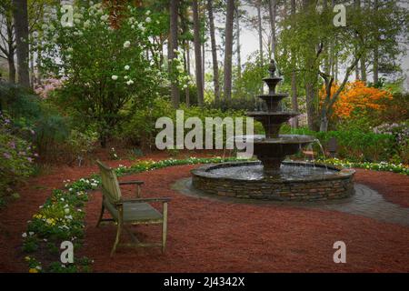 Un endroit calme dans un jardin azalée à Raleigh, Caroline du Nord avec un banc, une fontaine et des fleurs en fleur Banque D'Images