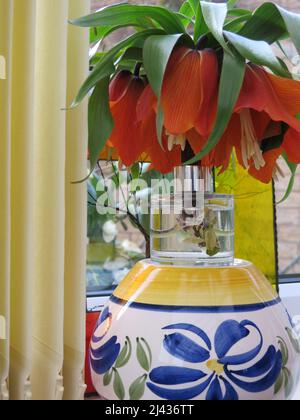 Grand et audacieux arrangement floral de printemps avec une tige de fleur Crown Imperial, Fritilaria impérialis, montrant ses énormes fleurs orange, trompette. Banque D'Images