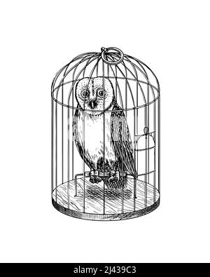 Hibou dans une cage. Forêt prédatrice oiseau sauvage. Croquis de gravure vintage. Contour Doodle. Dessin à la main. Illustration de Vecteur